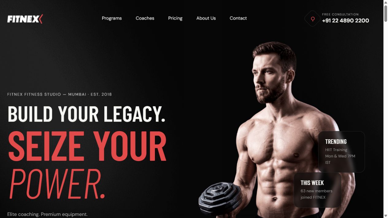 Fitnex India website demo preview